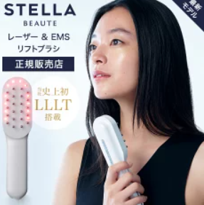 ステラボーテリフトブラシ