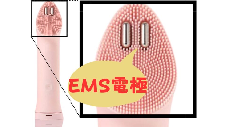 EMS電極